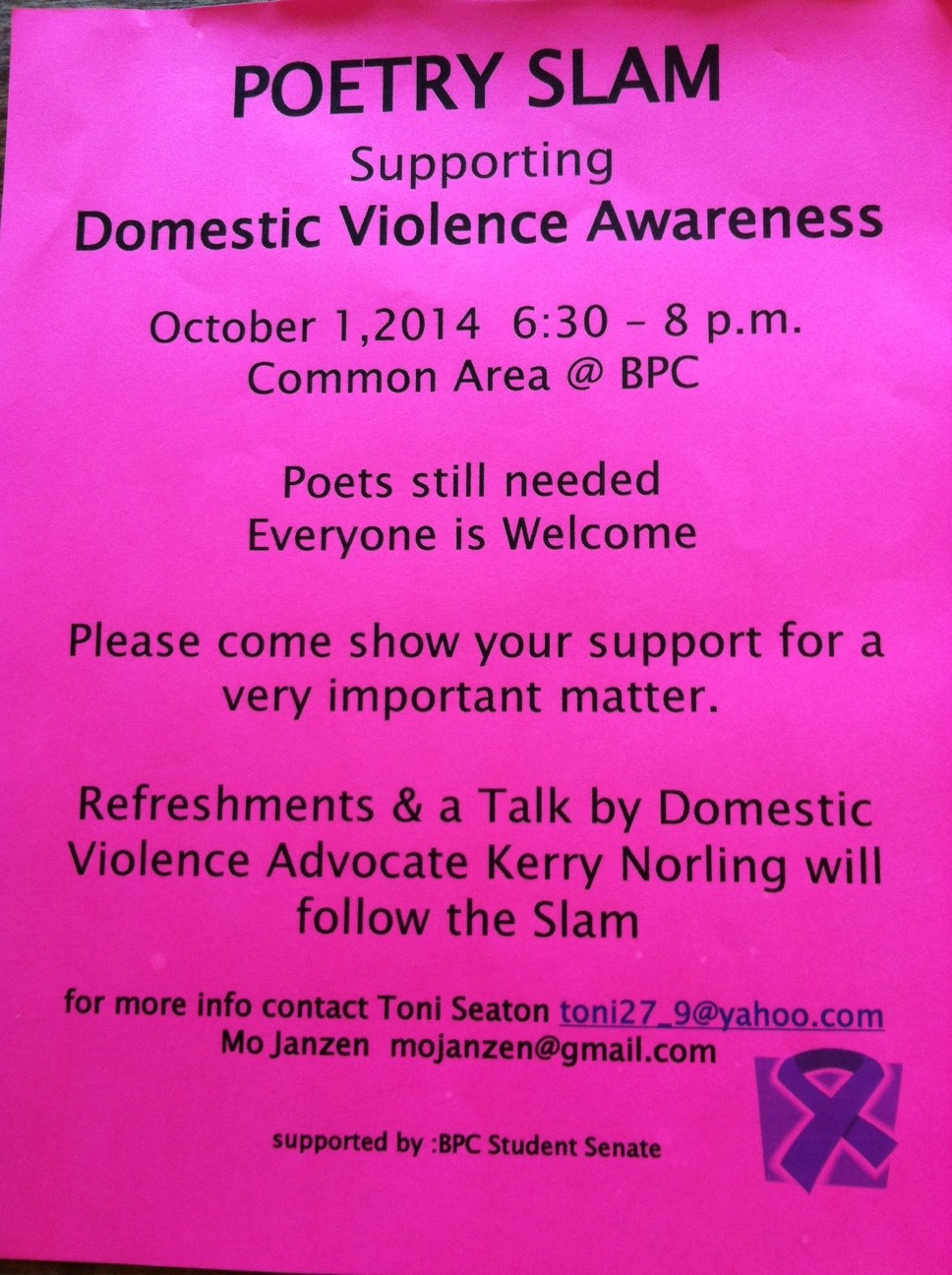 dv flyer