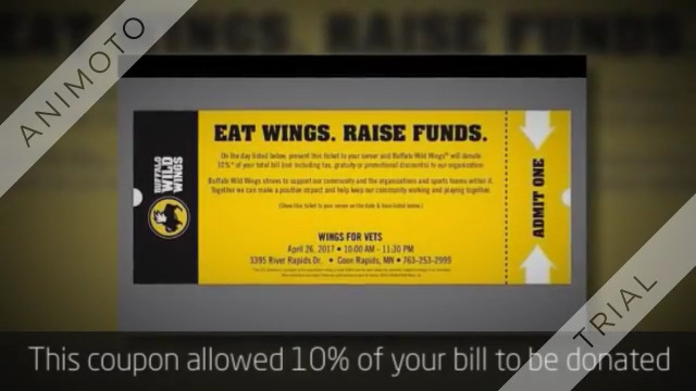 wings for vets