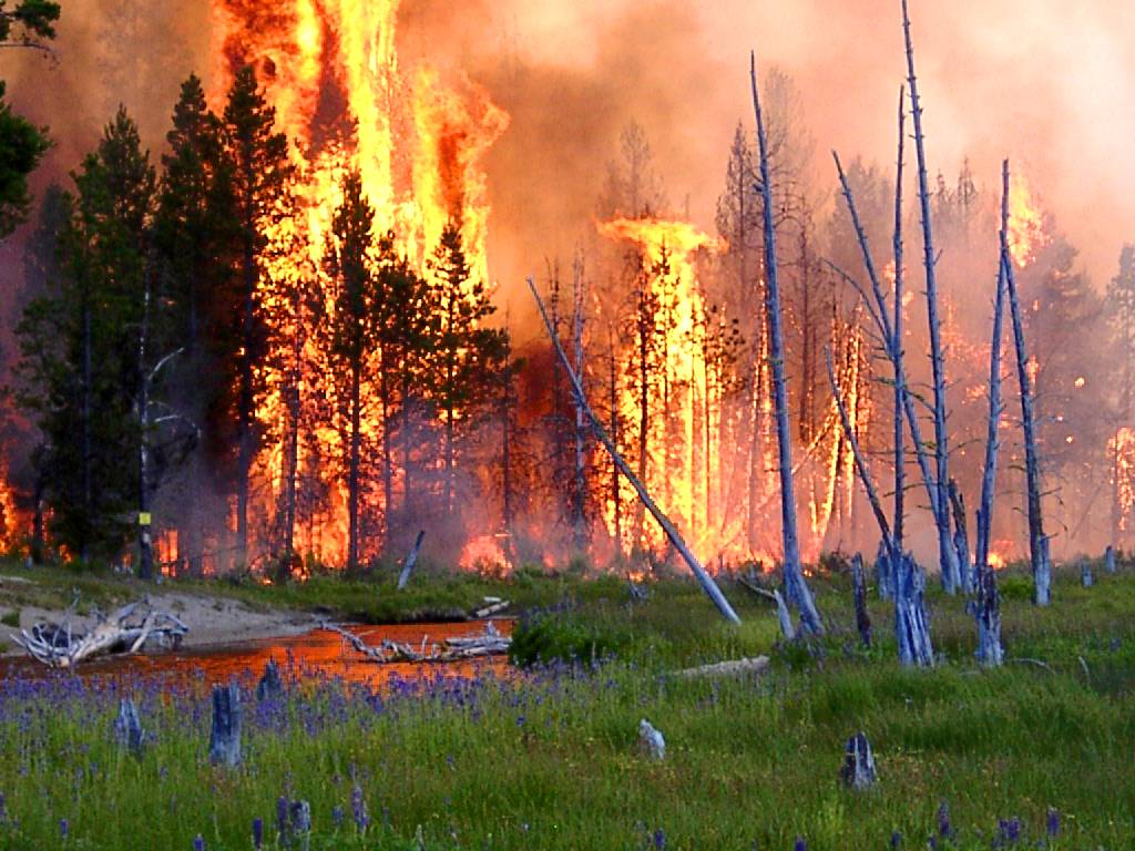 A photo of forests burning in the Cascade Range in Oregon. Credit: US Forest Service
